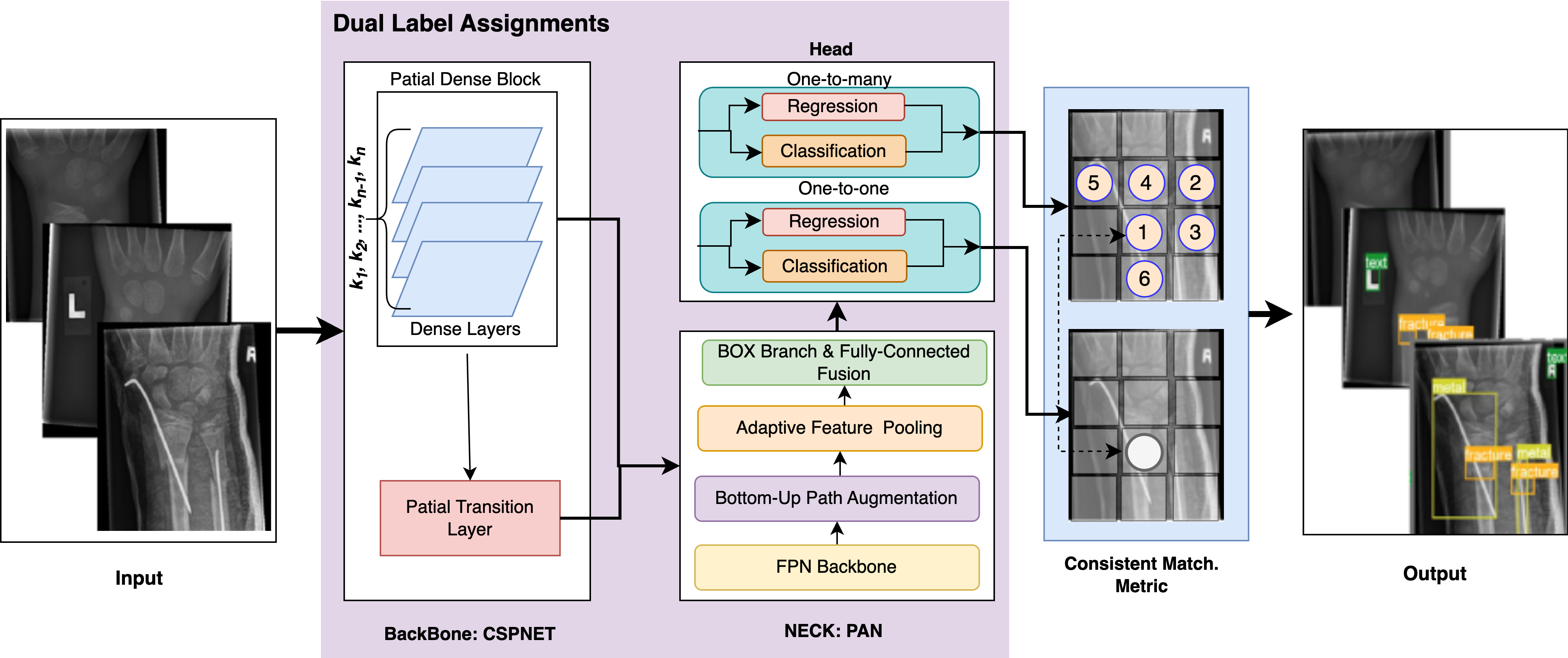 YOLOv10 Architecture